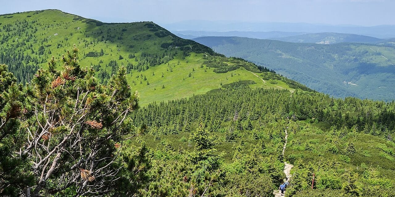Mała Babia Góra i grzbiet nad Broną, czerwiec 2017. Archiwalny widok na masyw od wschodu, nie ze szczytu Małej Babiej.