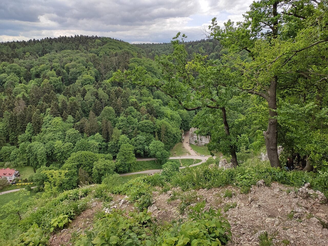 Widok z rejonu Góry Koronnej ku Bramie Krakowskiej, maj 2022. Brama jest widoczna z oddali. Fotografia archiwalna.