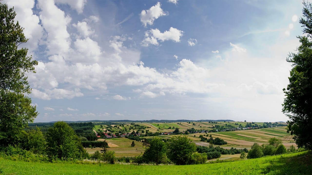 Panorama pól i wzgórz Roztocza z rejonu Bukowej Góry