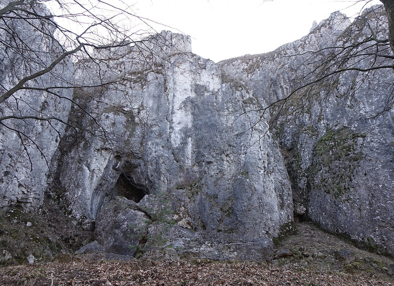 Skały i otwór zespołu Jaskini Wierzchowskiej Górnej, marzec 2022. Fotografia archiwalna, bez potwierdzenia obecnej dostępności wnętrza.