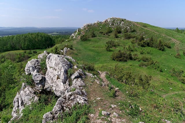 Z Wiernej Rzeki przez Miedziankę do Chęcin
