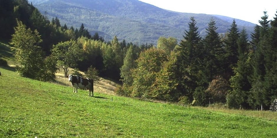 Jałowiec widziany z oddali, 2006. Fotografia archiwalna masywu, nie panorama ze szczytu.
