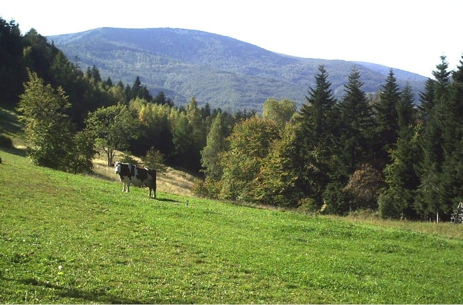 Jałowiec widziany z oddali, 2006. Fotografia archiwalna masywu, nie panorama ze szczytu.