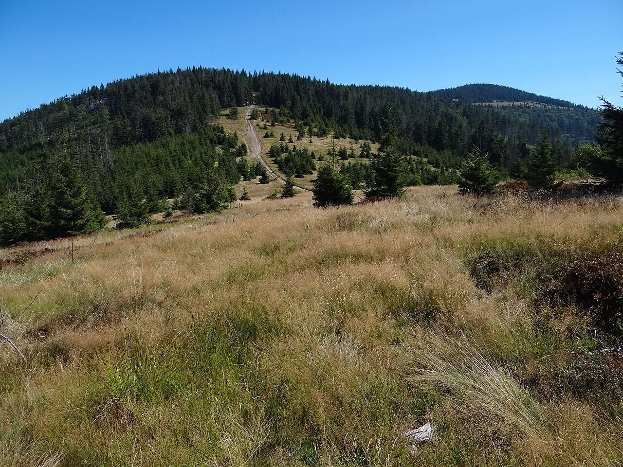 Hala Redykalna i Redykalny Wierch, sierpień 2012. Fotografia archiwalna.