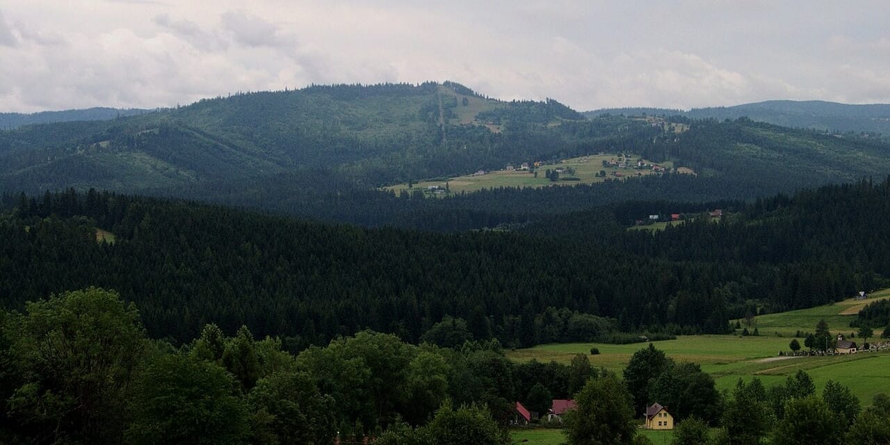 Rachowiec widziany z oddali, lipiec 2012. Fotografia archiwalna, nie jest widokiem ze szczytu.