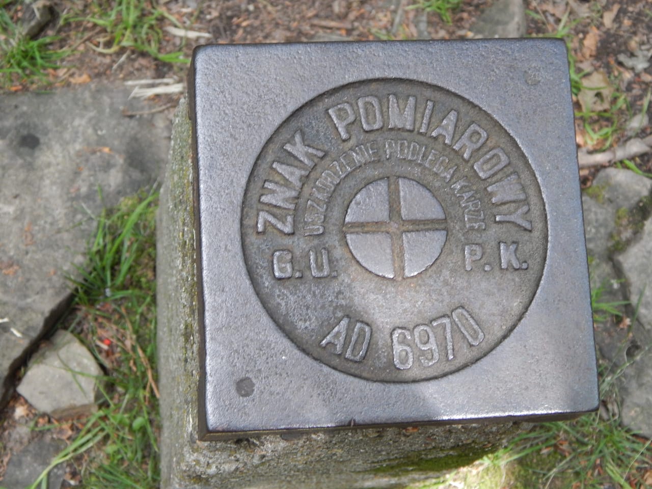 Znak pomiarowy na leśnym szczycie Wołosania