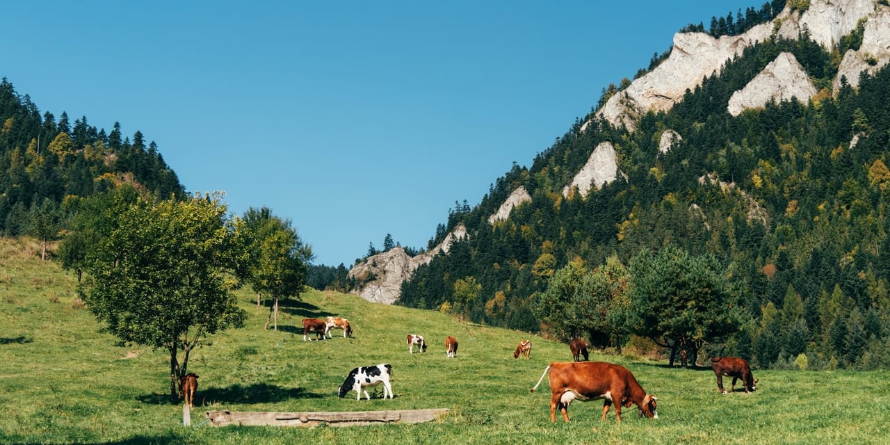Schronisko PTTK Trzy Korony, Sobczańska, Sromowce Niżne, Poland