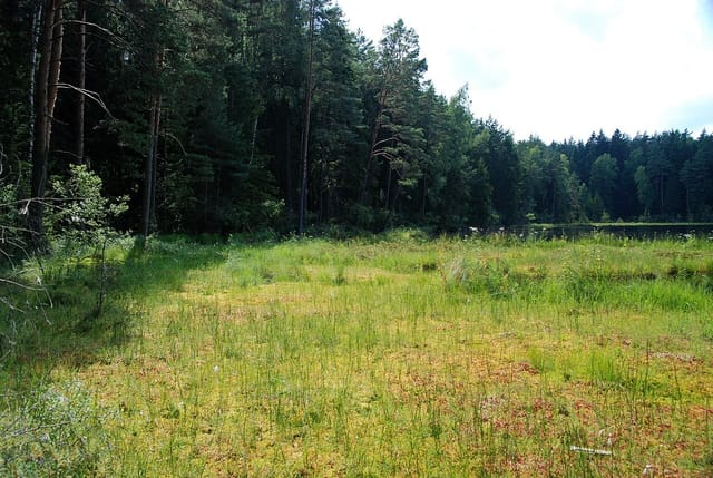 Słupie - pętla ścieżkami Jeziora i Dąbek nad Wigrami