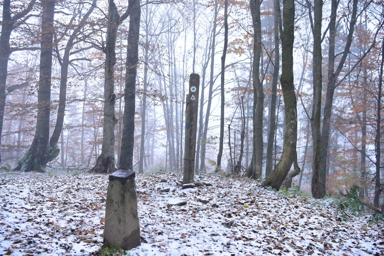 Oznaczenie szczytowe i znak geodezyjny na zalesionym Trohańcu