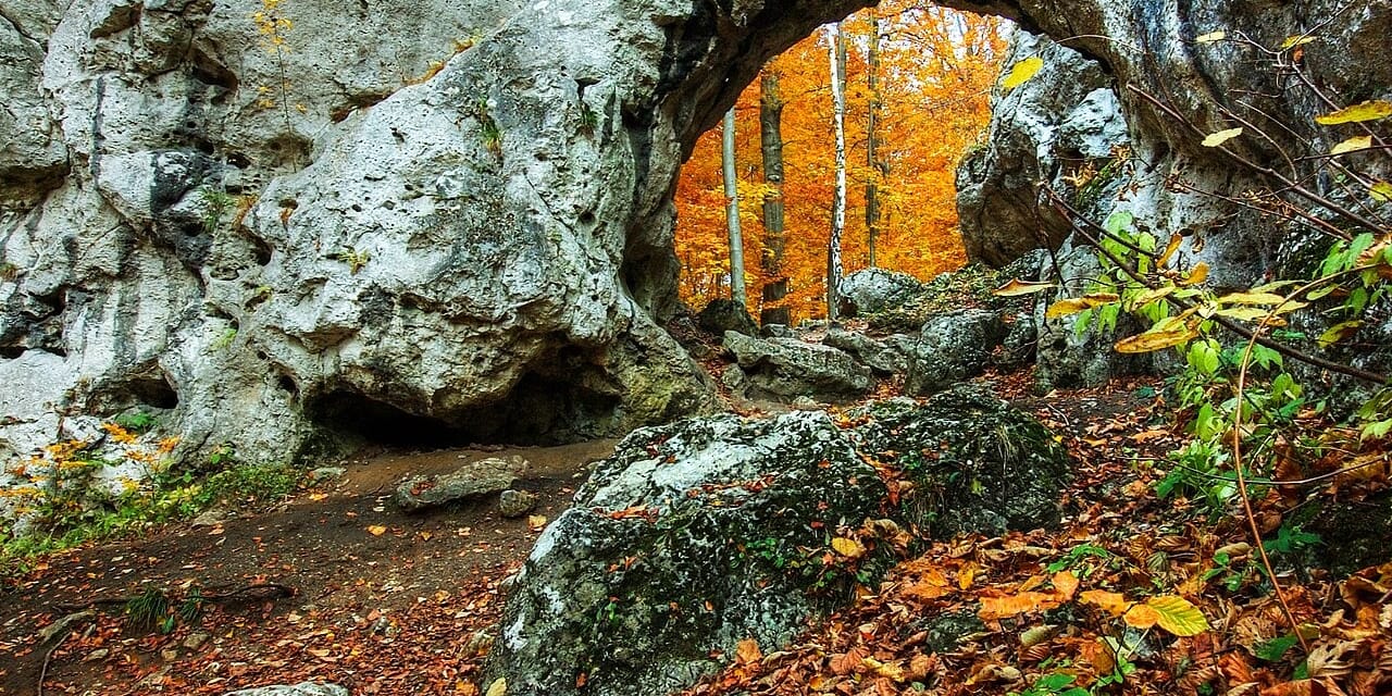 Brama Twardowskiego w jesiennym lesie pod Złotym Potokiem. Fotografia archiwalna.