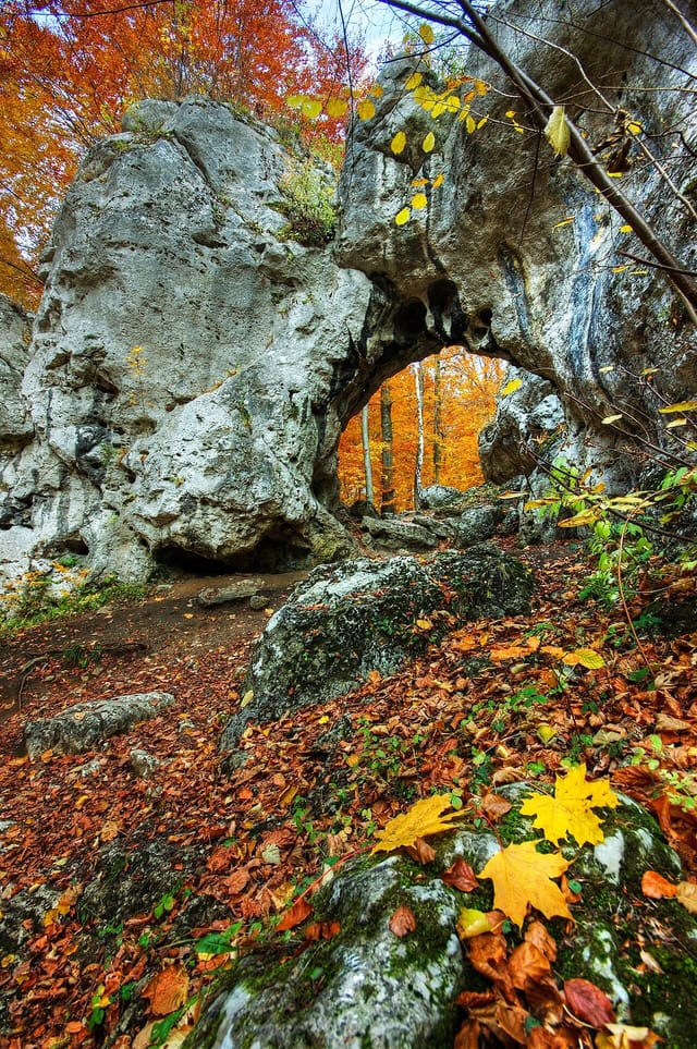 Złoty Potok - źródła, Brama Twardowskiego i Ostrężnik