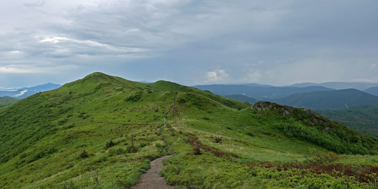 Grzbiet góry Halicz, Bieszczady, Polska