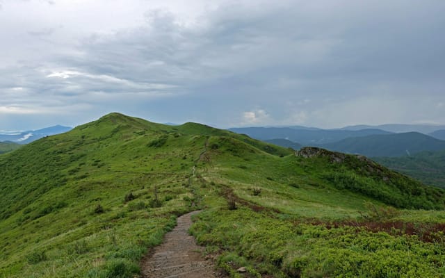 Wołosate – Rozsypaniec – Halicz – Tarnica – Wołosate