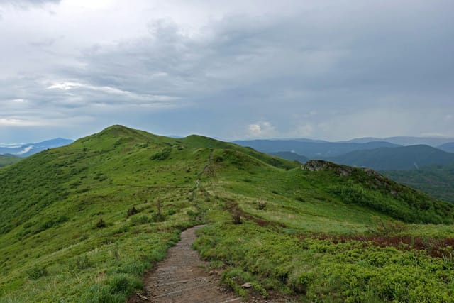 Grzbiet góry Halicz, Bieszczady, Polska