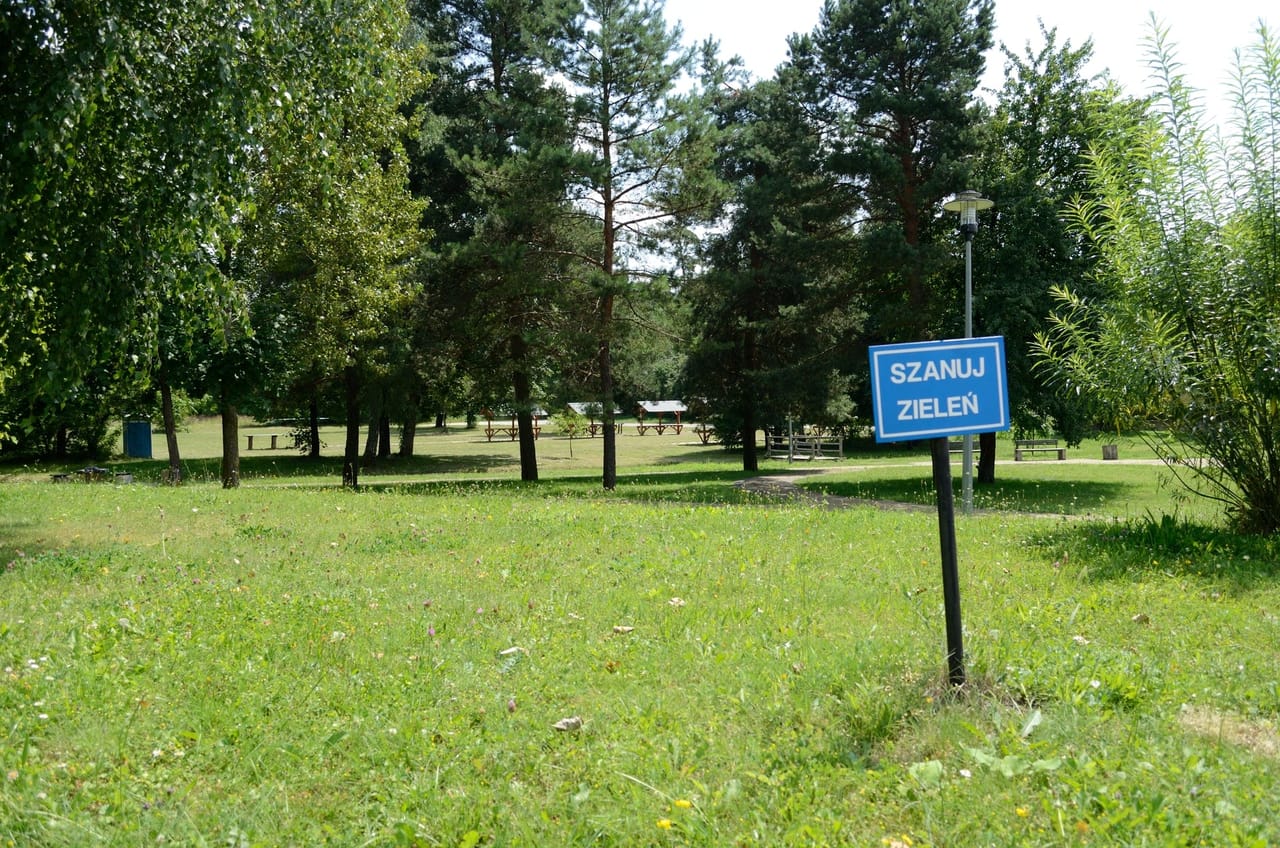 Park w Suścu wśród zielonych drzew