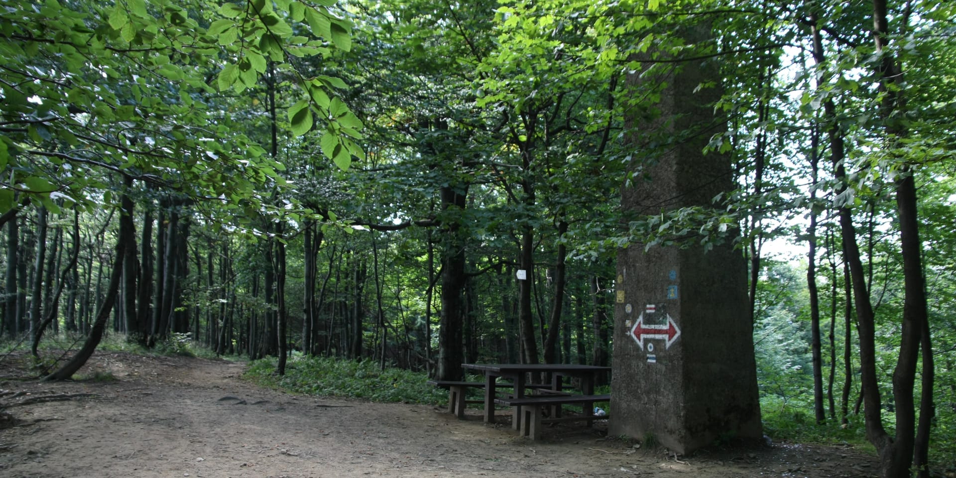 Otoczenie szczytu Chryszczatej w Bieszczadach