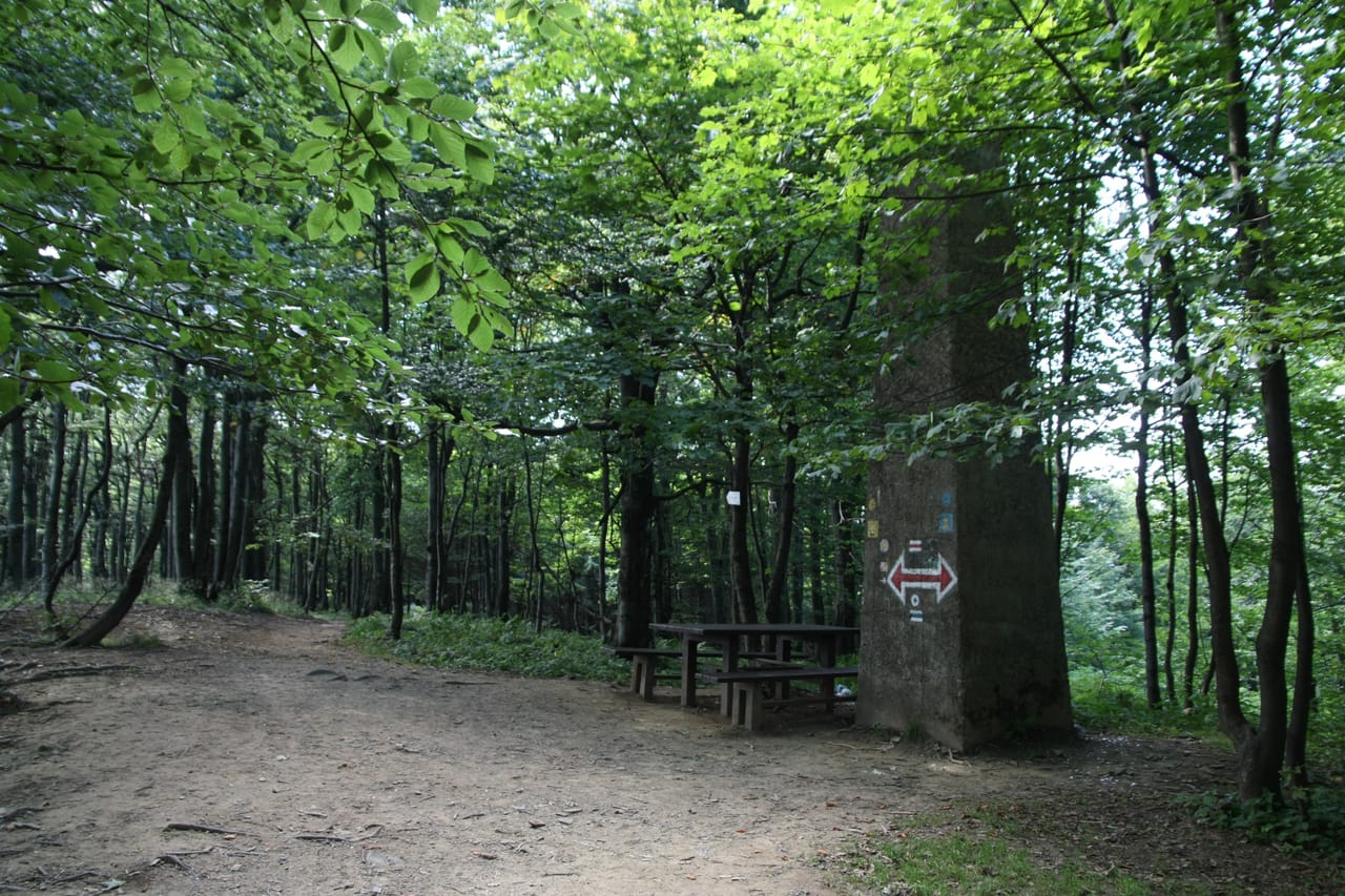 Otoczenie szczytu Chryszczatej w Bieszczadach