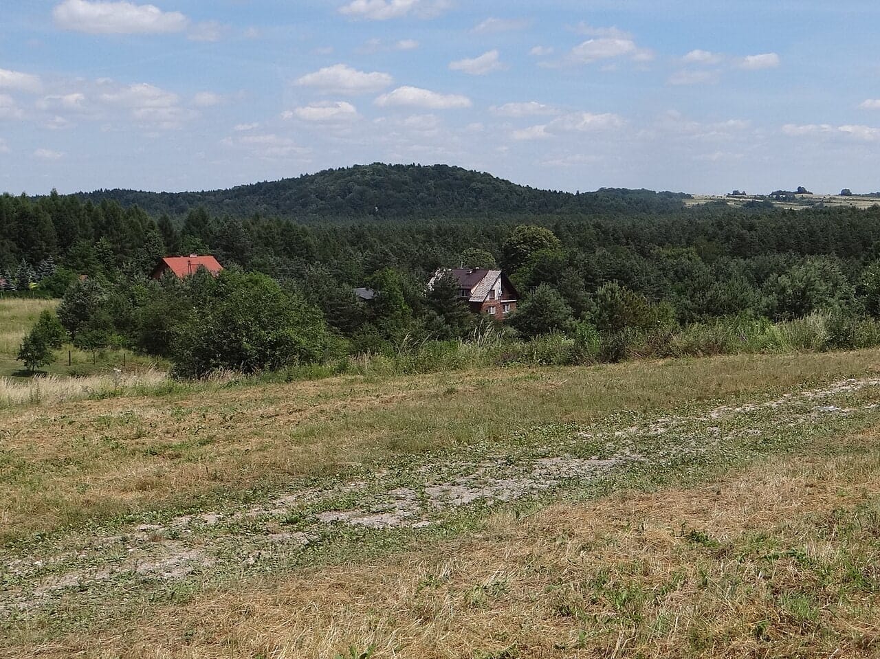 Januszkowa Góra widziana z oddali, czerwiec 2019. Fotografia archiwalna, nie panorama z wierzchołka.