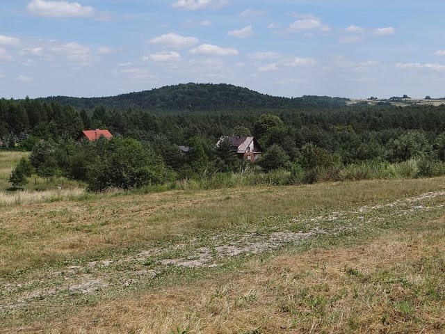 Januszkowa Góra widziana z oddali, czerwiec 2019. Fotografia archiwalna, nie panorama z wierzchołka.