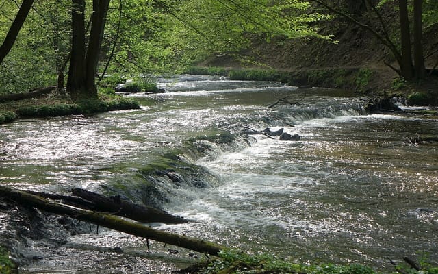 Szlak Szumów: pętla nad Tanwią z Suśca
