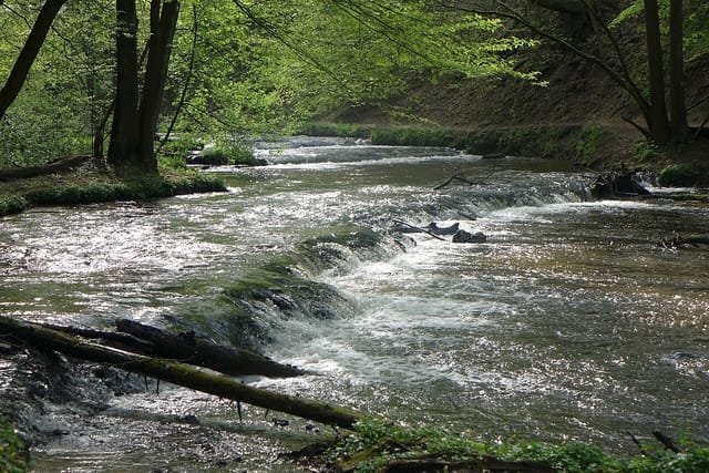 Szlak Szumów, Szumy nad Tanwią