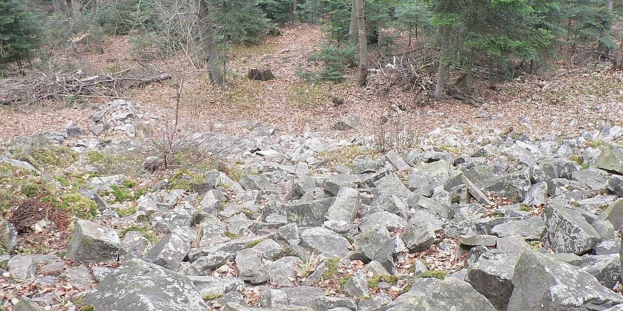 Gołoborze w rezerwacie Szczytniak poniżej leśnego wierzchołka, kwiecień 2009. Fotografia archiwalna.