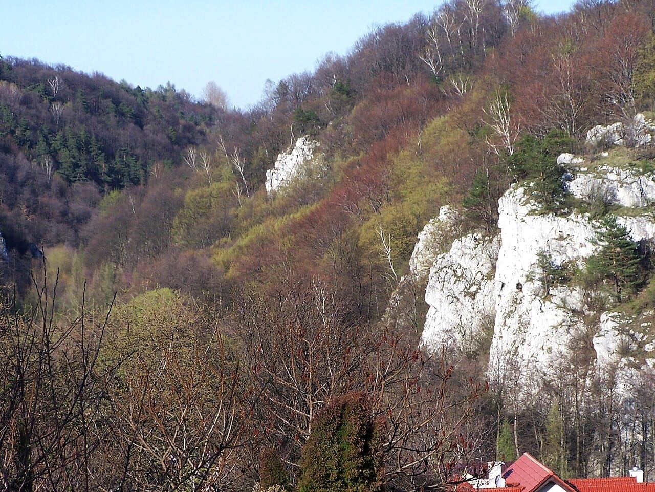Dolina Kluczwody widziana z wyżej położonego miejsca, kwiecień 2007. Fotografia archiwalna; trasa nie wchodzi na skały.