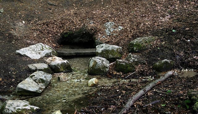 Źródło Spełnionych Marzeń pod Złotym Potokiem, maj 2011. Fotografia archiwalna.
