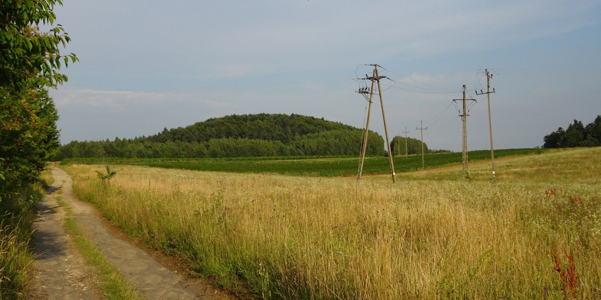 Wapielnia widziana z polnej drogi od strony Łuszczacza