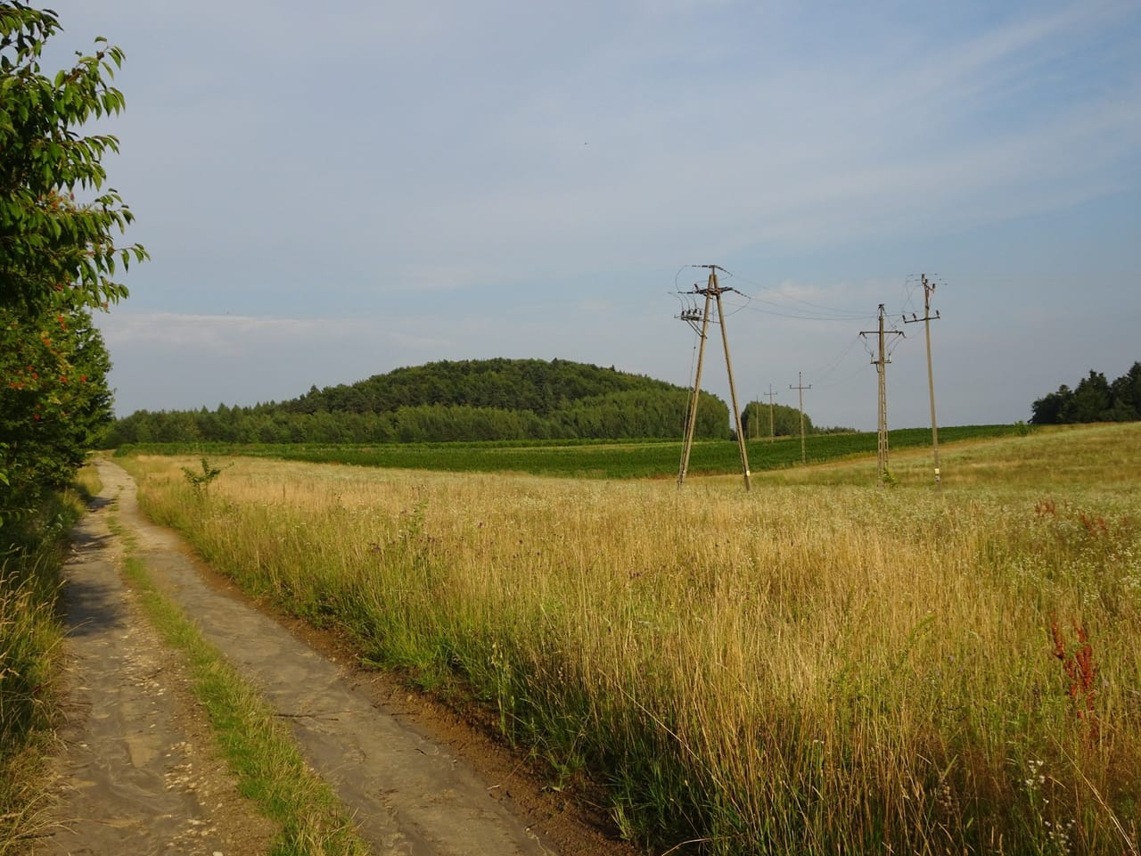 Wapielnia widziana z polnej drogi od strony Łuszczacza