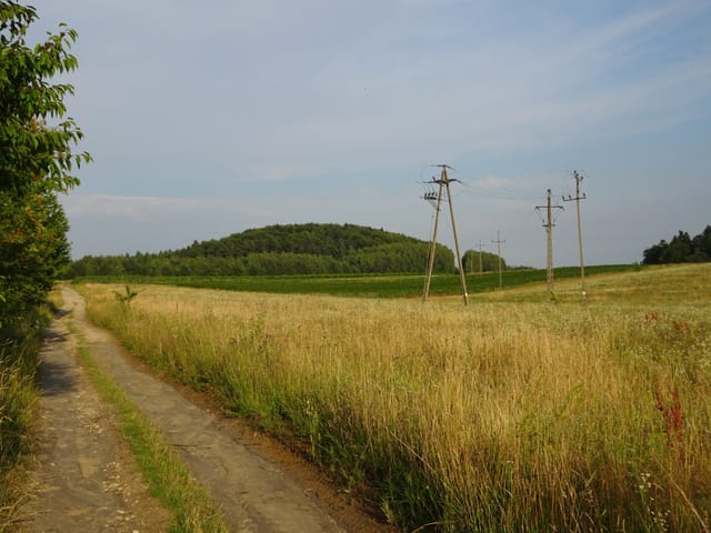 Wapielnia z Łuszczacza — tam i z powrotem