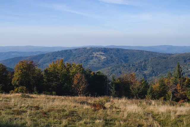 Lachów Groń z Koszarawy - żółtym szlakiem na Halę Janoszkową