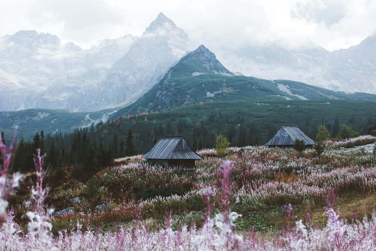 Zdjęcie regionu: Odkryj Tatry