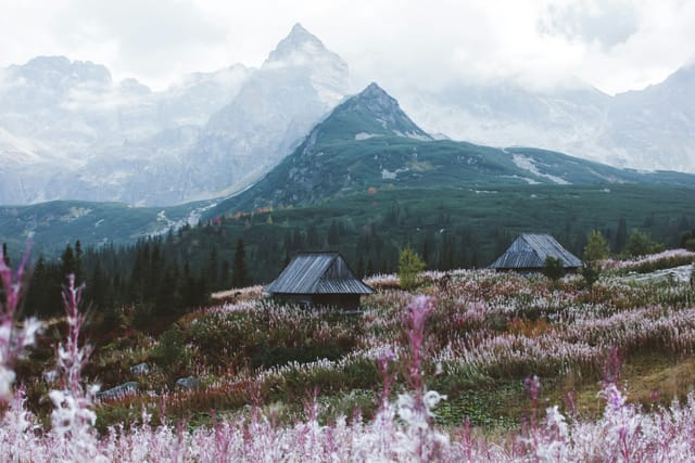Zdjęcie regionu Tatry