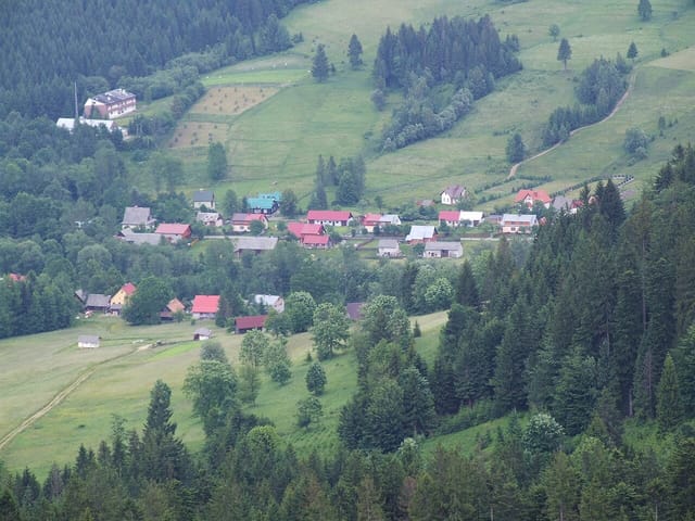 Rycerka Kolonia oglądana z góry, czerwiec 2008. Zdjęcie okolicy, nie dokładnej lokalizacji przystanku.