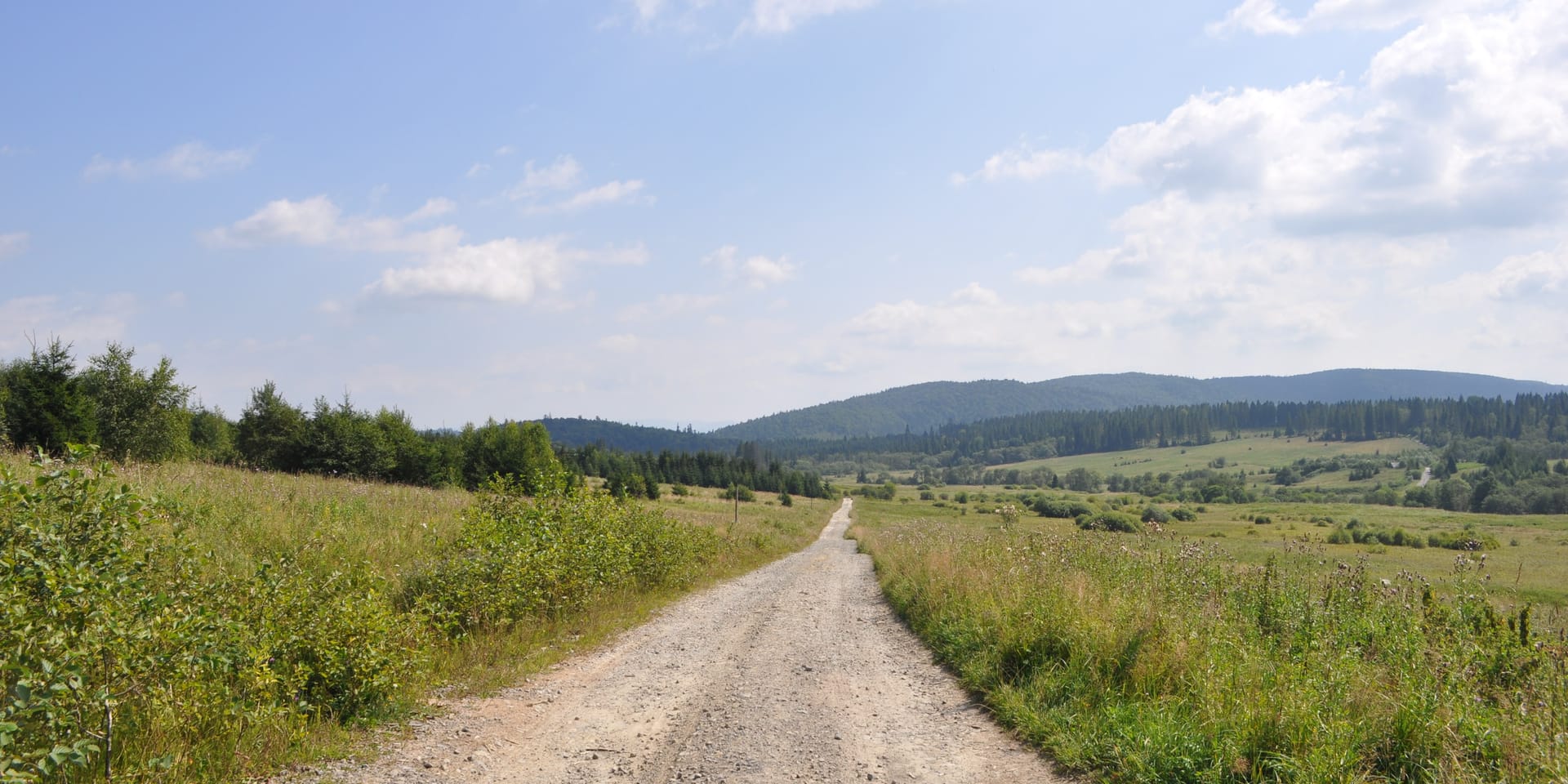 Droga i otwarty krajobraz w dolinie górnego Sanu koło Beniowej