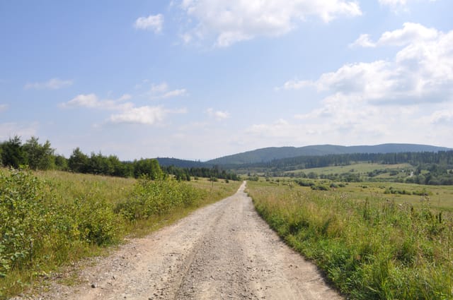 Dolina Górnego Sanu z Bukowca do umownych źródeł Sanu