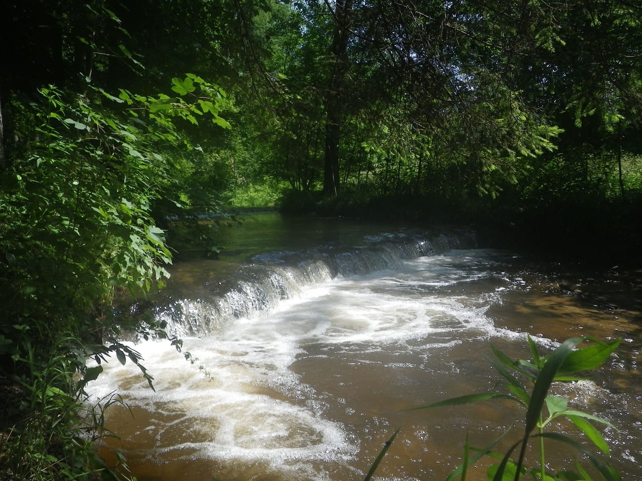 Kamienne progi i nurt Tanwi w leśnym rezerwacie Nad Tanwią