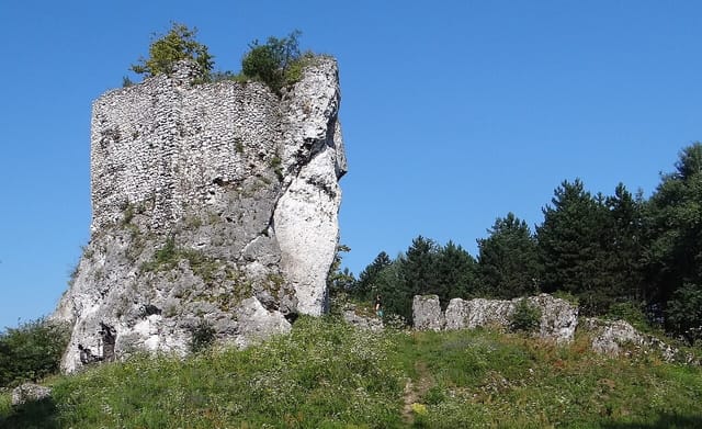 Żarki - Złoty Potok i Suliszowice, długa pętla Jury