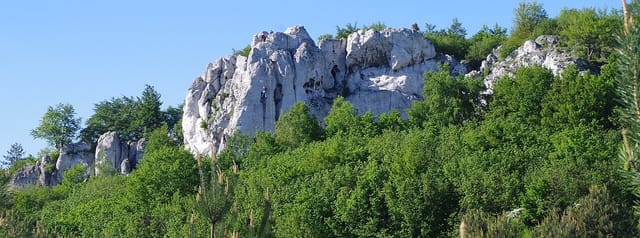Skały Rzędkowickie widziane z oddali ponad roślinnością. Fotografia archiwalna; piesza trasa prowadzi pod ścianami.