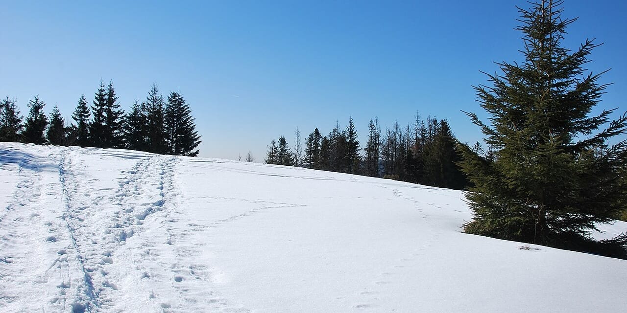 Polana na Praszywce Wielkiej, marzec 2011. Zimowa fotografia archiwalna, bez informacji o obecnych warunkach.