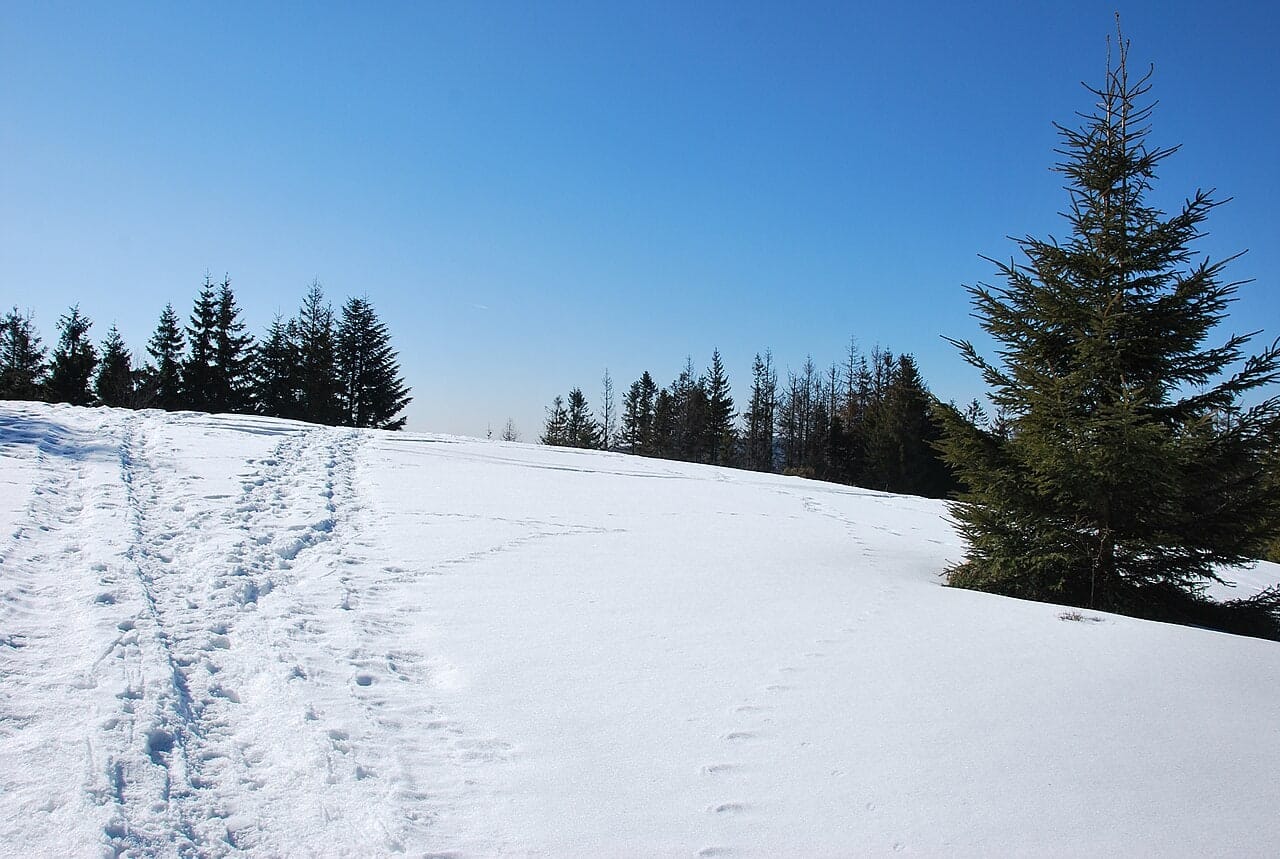 Polana na Praszywce Wielkiej, marzec 2011. Zimowa fotografia archiwalna, bez informacji o obecnych warunkach.