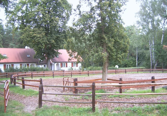 Zabudowania i ogrodzone wybiegi hodowli we Floriance