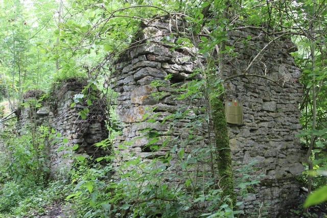 Kamienne ruiny dawnej papierni w lesie w rezerwacie Czartowe Pole