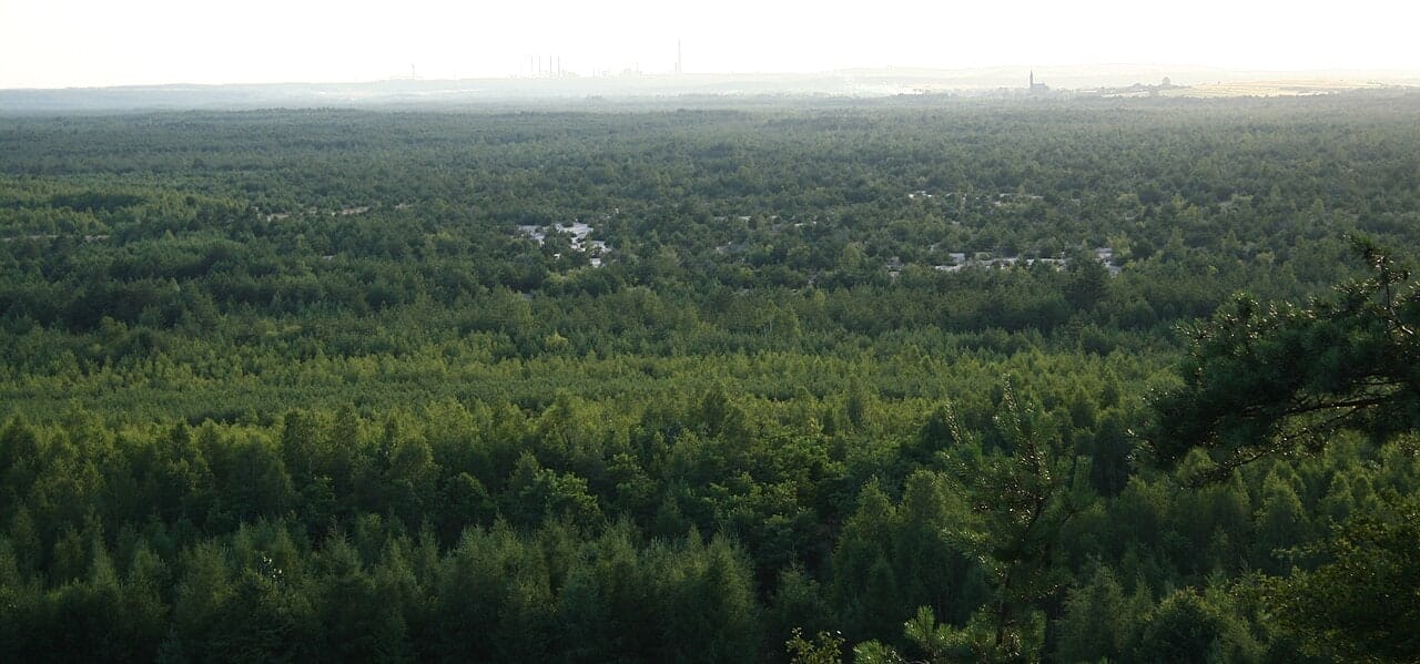 Południowa część Pustyni Błędowskiej widziana z Czubatki, lipiec 2006. Archiwalny krajobraz, nie obecny zasięg piasków.