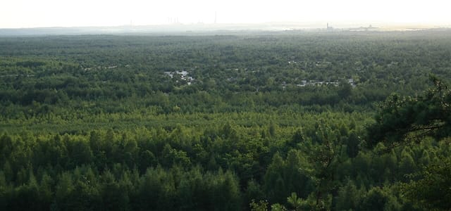 Południowa część Pustyni Błędowskiej widziana z Czubatki, lipiec 2006. Archiwalny krajobraz, nie obecny zasięg piasków.