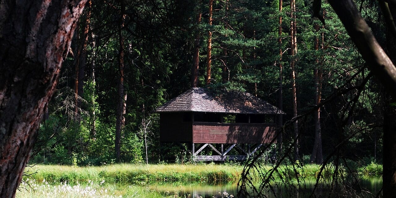 Platforma i zadaszenie nad Sucharem IV widziane z przeciwnego brzegu, lipiec 2009. Fotografia archiwalna, nie potwierdza obecnego stanu obiektu.