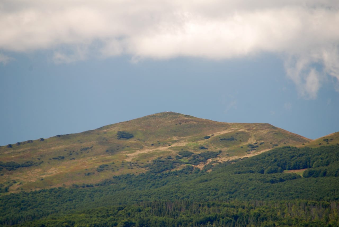 Trawiaste zbocza i wierzchołek Halicza nad doliną górnego Sanu
