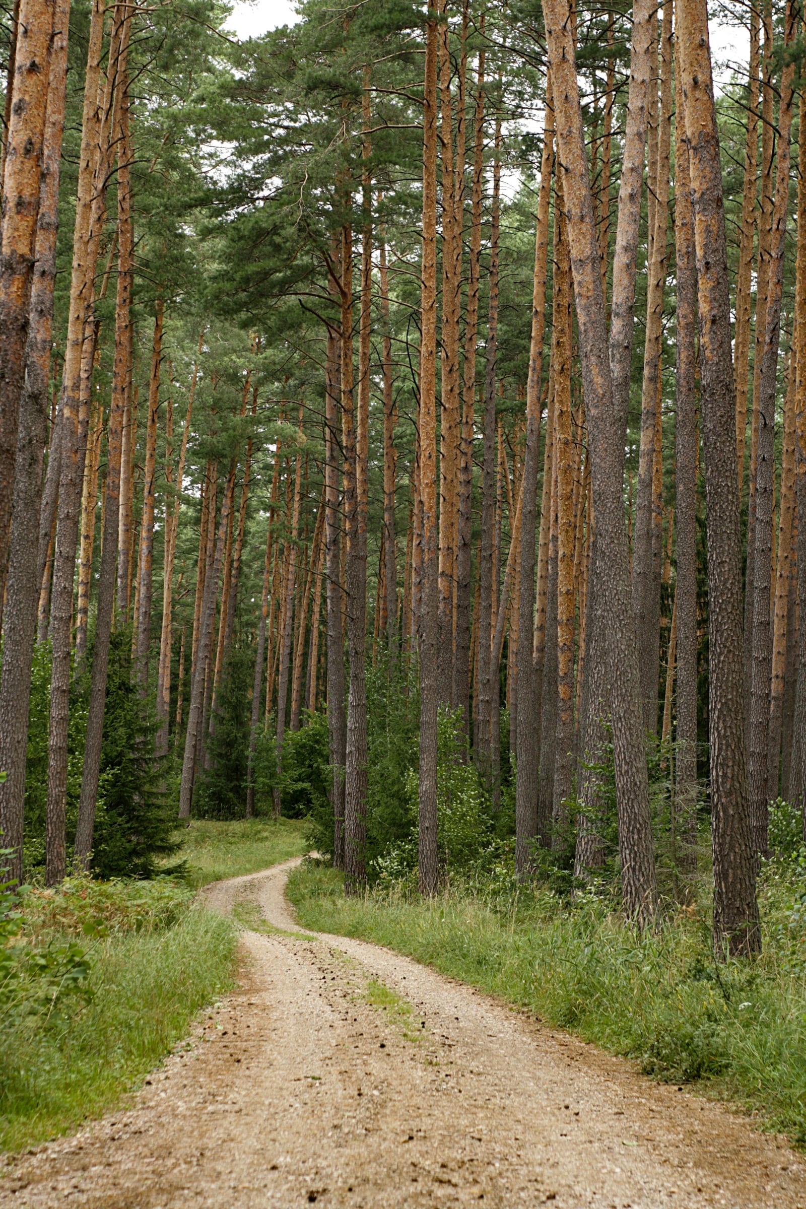 Wędrówka przez rezerwat Szumy nad Tanwią